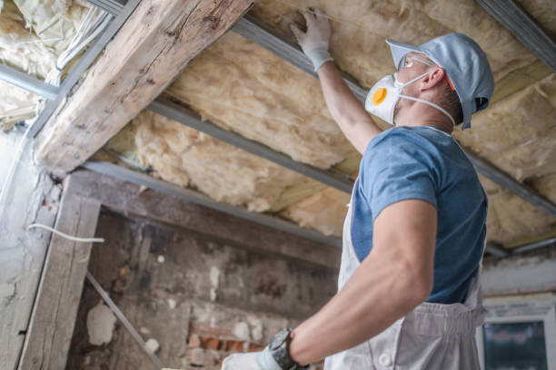Best Cellulose Insulation in Higganum, CT